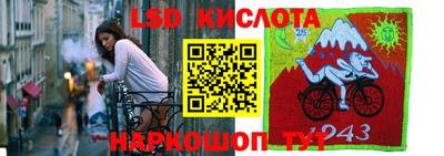 крисы Кинель