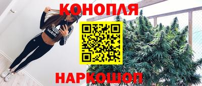 крисы Кинель