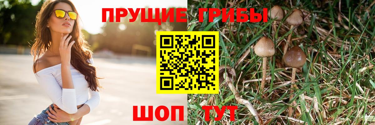 Псилоцибиновые грибы Magic Shrooms  Вход с VPN  Клинцы 